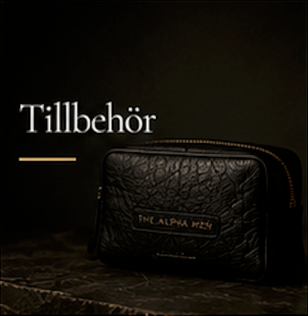 Tillbehör